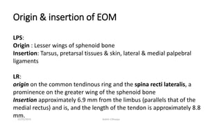 Origin & insertion of EOM
LPS:
Origin : Lesser wings of sphenoid bone
Insertion: Tarsus, pretarsal tissues & skin, lateral & medial palpebral
ligaments
LR:
origin on the common tendinous ring and the spina recti lateralis, a
prominence on the greater wing of the sphenoid bone
Insertion approximately 6.9 mm from the limbus (parallels that of the
medial rectus) and is, and the length of the tendon is approximately 8.8
mm.12/25/2019 Ashim Chhusya
 