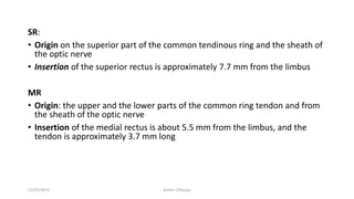 SR:
• Origin on the superior part of the common tendinous ring and the sheath of
the optic nerve
• Insertion of the superior rectus is approximately 7.7 mm from the limbus
MR
• Origin: the upper and the lower parts of the common ring tendon and from
the sheath of the optic nerve
• Insertion of the medial rectus is about 5.5 mm from the limbus, and the
tendon is approximately 3.7 mm long
12/25/2019 Ashim Chhusya
 