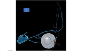 OD
12/25/2019 Ashim Chhusya
 