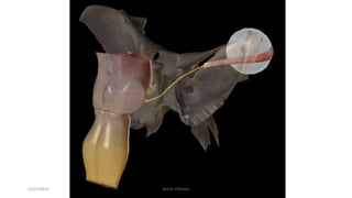 12/25/2019 Ashim Chhusya
 