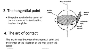 3. The tangential point
• The point at which the center of
the muscle or of its tendon first
touches the globe
4. The arc of contact
The arc formed between the tangential point and
the center of the insertion of the muscle on the
sclera
12/25/2019 Ashim Chhusya
 