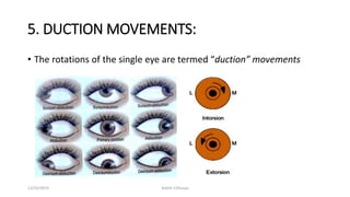 5. DUCTION MOVEMENTS:
• The rotations of the single eye are termed “duction” movements
12/25/2019 Ashim Chhusya
 