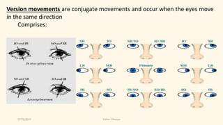 Version movements are conjugate movements and occur when the eyes move
in the same direction
Comprises:
12/25/2019 Ashim Chhusya
 