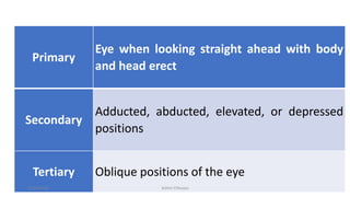 Primary
Eye when looking straight ahead with body
and head erect
Secondary
Adducted, abducted, elevated, or depressed
positions
Tertiary Oblique positions of the eye
12/25/2019 Ashim Chhusya
 