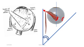 12/25/2019 Ashim Chhusya
 