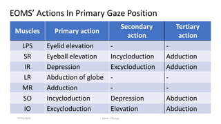 Muscles Primary action
Secondary
action
Tertiary
action
LPS Eyelid elevation - -
SR Eyeball elevation Incycloduction Adduction
IR Depression Excycloduction Adduction
LR Abduction of globe - -
MR Adduction - -
SO Incycloduction Depression Abduction
IO Excycloduction Elevation Abduction
EOMS’ Actions In Primary Gaze Position
12/25/2019 Ashim Chhusya
 