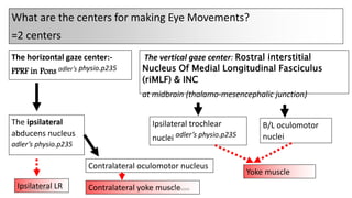 The vertical gaze center: Rostral interstitial
Nucleus Of Medial Longitudinal Fasciculus
(riMLF) & INC
at midbrain (thalamo-mesencephalic junction)
The horizontal gaze center:-
PPRF in Pons adler’s physio.p235
Ipsilateral trochlear
nuclei adler’s physio.p235
B/L oculomotor
nuclei
The ipsilateral
abducens nucleus
adler’s physio.p235
Contralateral oculomotor nucleus
Ipsilateral LR Contralateral yoke muscle
Yoke muscle
What are the centers for making Eye Movements?
=2 centers
12/25/2019 Ashim Chhusya
 