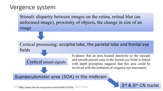 Vergence system
Supraoculomotor area (SOA) in the midbrain
Cortical neural signals
Stimuli: disparity between images on the retina, retinal blur (an
unfocused image), proximity of objects, the change in size of an
image
Cortical processing: occipital lobe, the parietal lobe and frontal eye
fields
Evidence that an area located anteriorly to the saccade
and smooth pursuit zone in the frontal eye fields is linked
with depth perception suggests that this area could be
involved with the initiation of vergence eye movement
https://www.ncbi.nlm.nih.gov/pmc/articles/PMC5122972/
3rd & 6th CN nuclei12/25/2019 Ashim Chhusya
 