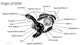 Origin of EOM
12/25/2019 Ashim Chhusya
 