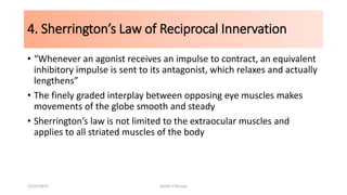 4. Sherrington’s Law of Reciprocal Innervation
• “Whenever an agonist receives an impulse to contract, an equivalent
inhibitory impulse is sent to its antagonist, which relaxes and actually
lengthens”
• The finely graded interplay between opposing eye muscles makes
movements of the globe smooth and steady
• Sherrington’s law is not limited to the extraocular muscles and
applies to all striated muscles of the body
12/25/2019 Ashim Chhusya
 