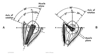 12/25/2019 Ashim Chhusya
 