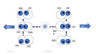 RSR LIO
RLR LMR
RIR LSO
LSRRIO
LLR
RM
R
RSO LIR
LeftRight
12/25/2019 Ashim Chhusya
 
