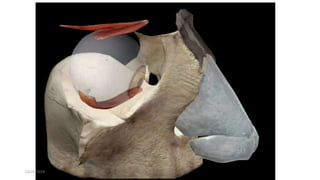 12/25/2019 Ashim Chhusya
 