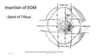 Insertion of EOM
Ref: Binocular Vision & Ocular Motility, GK Von Norden 6th Ed, p40
:Spiral of Tillaux
12/25/2019 Ashim Chhusya
 
