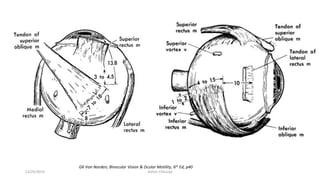 GK Von Norden; Binocular Vision & Ocular Motility, 6th Ed, p40
12/25/2019 Ashim Chhusya
 