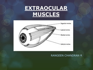 EXTRAOCULAR
  MUSCLES




      RANGEEN CHANDRAN R
 