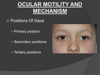Extraocular muscles | PPTX