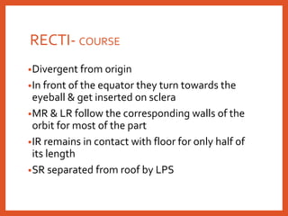 RECTI- COURSE
•Divergent from origin
•In front of the equator they turn towards the
eyeball & get inserted on sclera
•MR & LR follow the corresponding walls of the
orbit for most of the part
•IR remains in contact with floor for only half of
its length
•SR separated from roof by LPS
 
