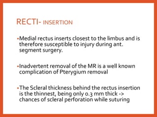 RECTI- INSERTION
•Medial rectus inserts closest to the limbus and is
therefore susceptible to injury during ant.
segment surgery.
•Inadvertent removal of the MR is a well known
complication of Pterygium removal
•The Scleral thickness behind the rectus insertion
is the thinnest, being only 0.3 mm thick ->
chances of scleral perforation while suturing
 