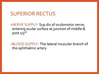 SUPERIOR RECTUS
•NERVE SUPPLY- Sup div of oculomotor nerve,
entering ocular surface at junction of middle &
post 1/3rd
•BLOOD SUPPLY-The lateral muscular branch of
the ophthalmic artery
 