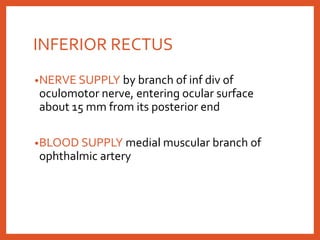 INFERIOR RECTUS
•NERVE SUPPLY by branch of inf div of
oculomotor nerve, entering ocular surface
about 15 mm from its posterior end
•BLOOD SUPPLY medial muscular branch of
ophthalmic artery
 