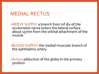 MEDIAL RECTUS
•NERVE SUPPLY a branch from inf div of the
oculomotor nerve enters the lateral surface
about 15mm from the orbital attachment of the
muscle
•BLOOD SUPPLY the medial muscular branch of
the ophthalmic artery
•Action adduction of the globe in the primary
position
 