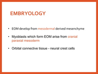 EMBRYOLOGY
• EOM develop from mesodermal derived mesenchyme
• Myoblasts which form EOM arise from cranial
paraxial mesoderm
• Orbital connective tissue - neural crest cells
 