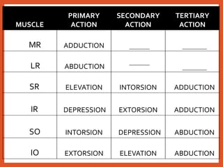 MUSCLE
PRIMARY
ACTION
SECONDARY
ACTION
TERTIARY
ACTION
MR ADDUCTION __________ ____________
LR ABDUCTION
__________
____________
SR ELEVATION INTORSION ADDUCTION
IR DEPRESSION EXTORSION ADDUCTION
SO INTORSION DEPRESSION ABDUCTION
IO EXTORSION ELEVATION ABDUCTION
 
