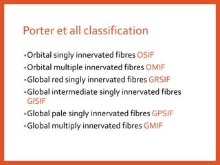 Porter et all classification
•Orbital singly innervated fibres OSIF
•Orbital multiple innervated fibres OMIF
•Global red singly innervated fibres GRSIF
•Global intermediate singly innervated fibres
GISIF
•Global pale singly innervated fibres GPSIF
•Global multiply innervated fibres GMIF
 