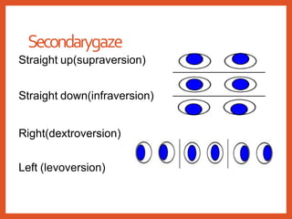 Secondarygaze
Straight up(supraversion)
Straight down(infraversion)
Right(dextroversion)
Left (levoversion)
 