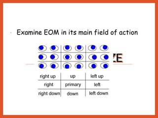  Examine EOM in its main field of action
 