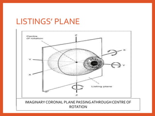 LISTINGS’ PLANE
IMAGINARY CORONAL PLANE PASSINGATHROUGH CENTRE OF
ROTATION
 