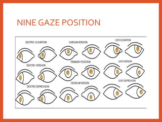 NINE GAZE POSITION
 