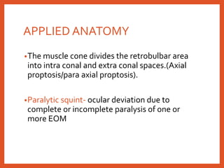 APPLIED ANATOMY
•The muscle cone divides the retrobulbar area
into intra conal and extra conal spaces.(Axial
proptosis/para axial proptosis).
•Paralytic squint- ocular deviation due to
complete or incomplete paralysis of one or
more EOM
 