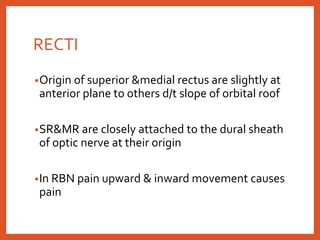 RECTI
•Origin of superior &medial rectus are slightly at
anterior plane to others d/t slope of orbital roof
•SR&MR are closely attached to the dural sheath
of optic nerve at their origin
•In RBN pain upward & inward movement causes
pain
 