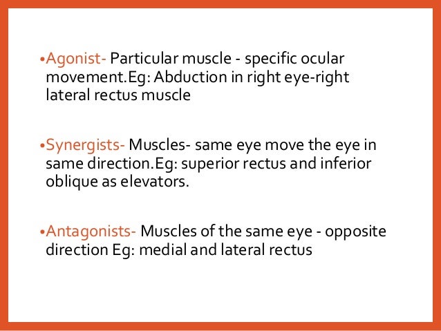 Extraocular muscles
