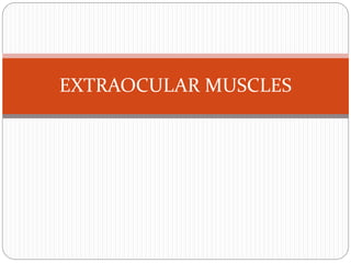 EXTRAOCULAR MUSCLES
 