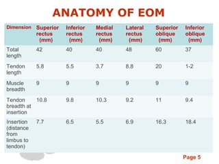 Page 5
ANATOMY OF EOM
Dimension Superior
rectus
(mm)
Inferior
rectus
(mm)
Medial
rectus
(mm)
Lateral
rectus
(mm)
Superior
oblique
(mm)
Inferior
oblique
(mm)
Total
length
42 40 40 48 60 37
Tendon
length
5.8 5.5 3.7 8.8 20 1-2
Muscle
breadth
9 9 9 9 9 9
Tendon
breadth at
insertion
10.8 9.8 10.3 9.2 11 9.4
Insertion
(distance
from
limbus to
tendon)
7.7 6.5 5.5 6.9 16.3 18.4
 