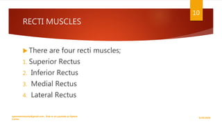 RECTI MUSCLES
 There are four recti muscles;
1. Superior Rectus
2. Inferior Rectus
3. Medial Rectus
4. Lateral Rectus
9/29/2020
optometristsania@gmail.com , find us on youtube as Optom
Corner
10
 