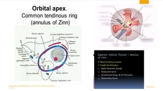 9/29/2020
optometristsania@gmail.com , find us on youtube as Optom
Corner
11
 