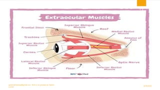 9/29/2020
optometristsania@gmail.com , find us on youtube as Optom
Corner
14
 