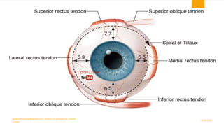 9/29/2020
optometristsania@gmail.com , find us on youtube as Optom
Corner
17
Optom Corner
 