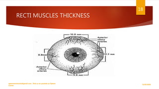 RECTI MUSCLES THICKNESS
9/29/2020
optometristsania@gmail.com , find us on youtube as Optom
Corner
18
 