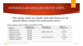 EXTRAOCULAR MUSCLES MOTOR UNITS
 The motor units are small, with only from 5 to 18
 muscle fibers contact by each motor nerve
9/29/2020
optometristsania@gmail.com , find us on youtube as Optom
Corner
19
 