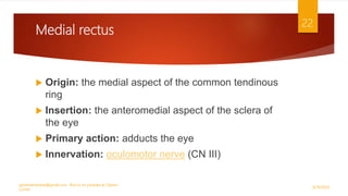 Medial rectus
 Origin: the medial aspect of the common tendinous
ring
 Insertion: the anteromedial aspect of the sclera of
the eye
 Primary action: adducts the eye
 Innervation: oculomotor nerve (CN III)
9/29/2020
optometristsania@gmail.com , find us on youtube as Optom
Corner
22
 