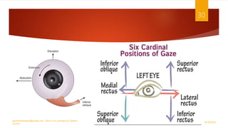 9/29/2020
optometristsania@gmail.com , find us on youtube as Optom
Corner
30
 