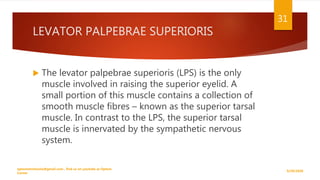 LEVATOR PALPEBRAE SUPERIORIS
 The levator palpebrae superioris (LPS) is the only
muscle involved in raising the superior eyelid. A
small portion of this muscle contains a collection of
smooth muscle fibres – known as the superior tarsal
muscle. In contrast to the LPS, the superior tarsal
muscle is innervated by the sympathetic nervous
system.
9/29/2020
optometristsania@gmail.com , find us on youtube as Optom
Corner
31
 