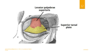 9/29/2020
optometristsania@gmail.com , find us on youtube as Optom
Corner
32
 
