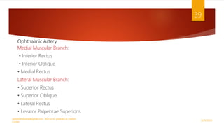 Ophthalmic Artery
Medial Muscular Branch:
• Inferior Rectus
• Inferior Oblique
• Medial Rectus
Lateral Muscular Branch:
• Superior Rectus
• Superior Oblique
• Lateral Rectus
• Levator Palpebrae Superioris
9/29/2020
optometristsania@gmail.com , find us on youtube as Optom
Corner
39
 