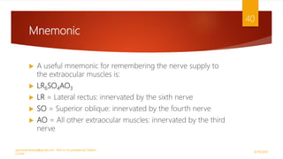 Mnemonic
 A useful mnemonic for remembering the nerve supply to
the extraocular muscles is:
 LR6SO4AO3
 LR = Lateral rectus: innervated by the sixth nerve
 SO = Superior oblique: innervated by the fourth nerve
 AO = All other extraocular muscles: innervated by the third
nerve
9/29/2020
optometristsania@gmail.com , find us on youtube as Optom
Corner
40
 